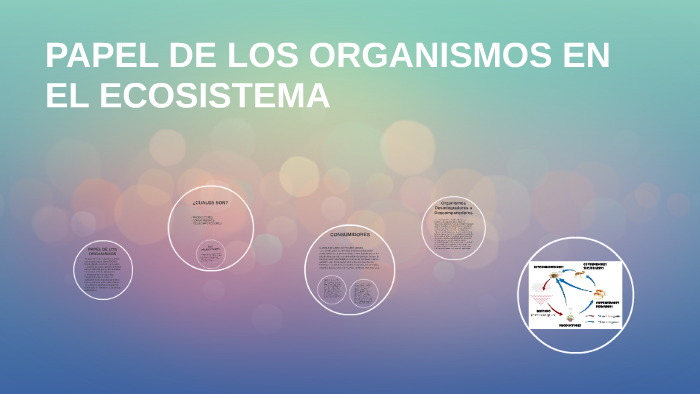 PAPEL DE LOS ORGANISMOS EN EL ECOSISTEMA by andree reyes on Prezi