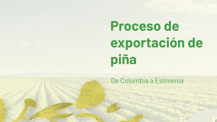 Proceso de exportación de piña by Juan Carlos Manzano on Prezi
