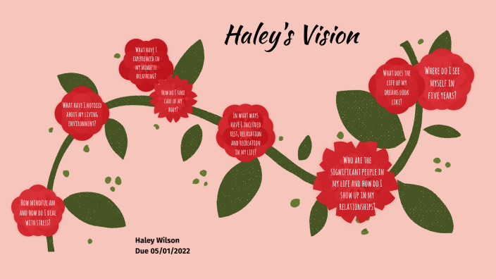 swu-250-my-vision-board-by-haley-wilson