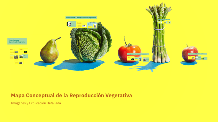 Mapa Conceptual de la Reproducción Vegetativa by Cago Damag on Prezi
