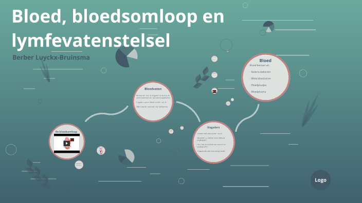 Bloed, bloedsomloop, lymfevatenstelsel by Ber Ber on Prezi