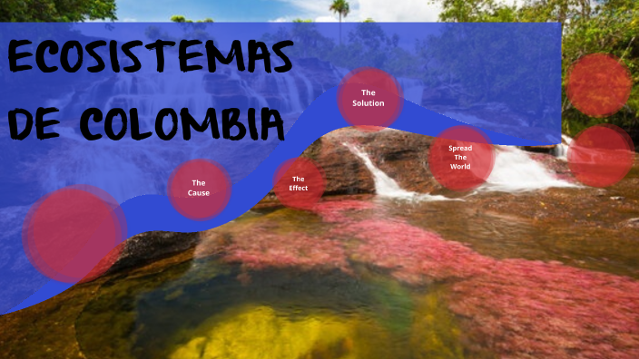 ECOSISTEMAS DE COLOMBIA by Ingrith Vanessa Guancha Martinez on Prezi