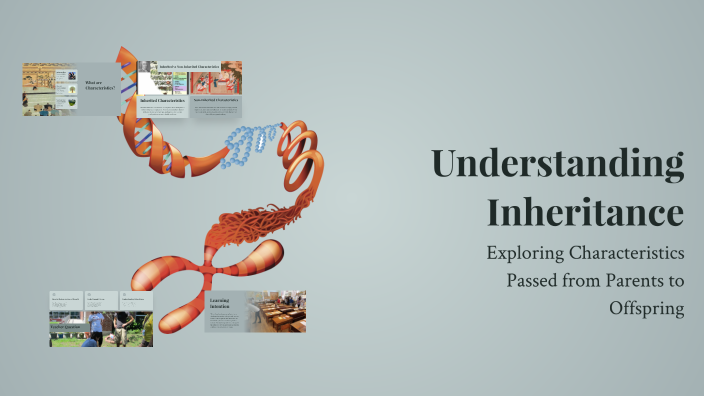 Understanding Inheritance by Shona Doyle on Prezi