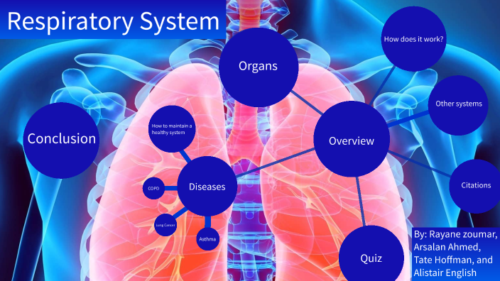 Respiratory System by Rayane Zoumar on Prezi