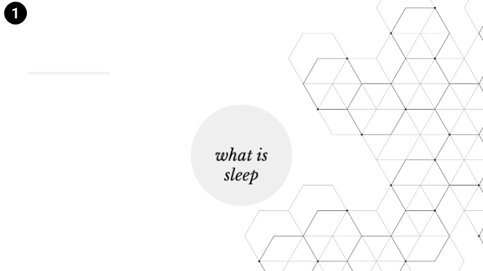 sleep by Jack Roy on Prezi