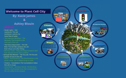 Welcome to Plant Cell City by Ashley Blouin on Prezi