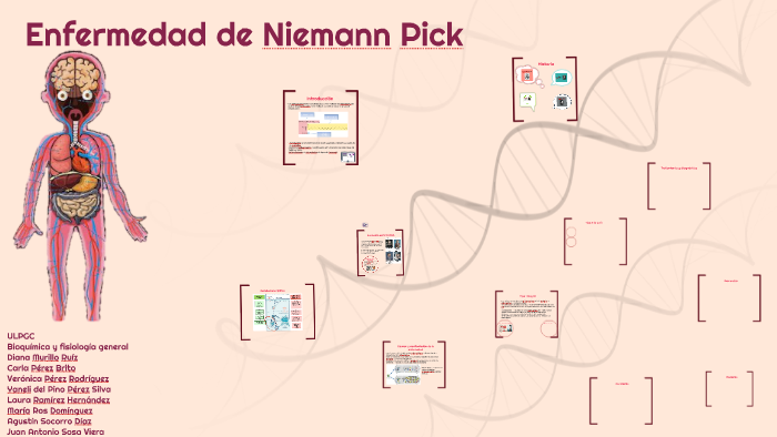 Enfermedad de Niemann-Pick tipo B: Estudio de tres casos y