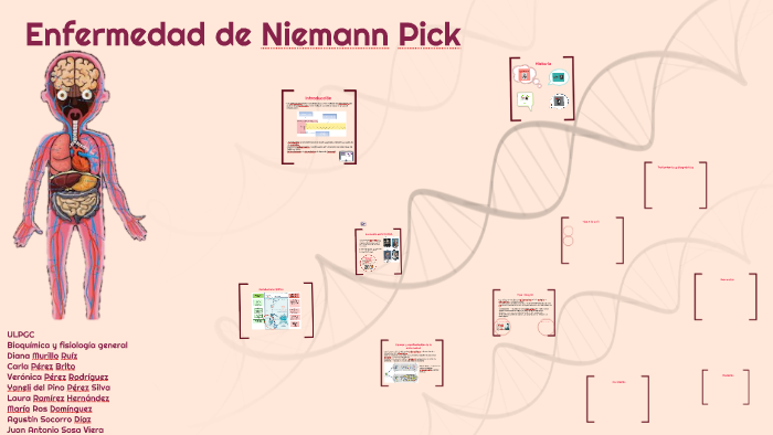 Enfermedad de Niemann-Pick tipo B – FEMEXER