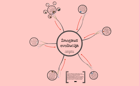 mogaus-evoliucija-by-monika-abraityte-on-prezi