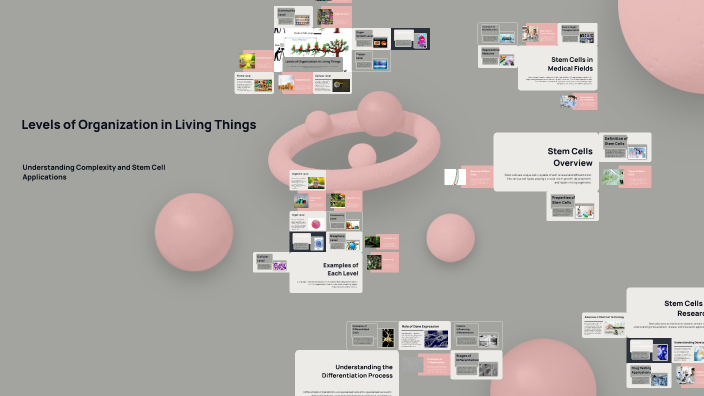 Levels of Organization in Living Things by lailin rivas on Prezi