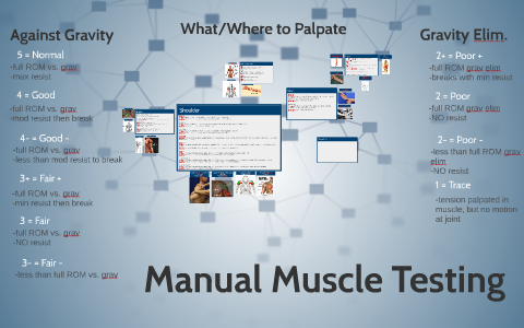 manual muscle testing คือ pro