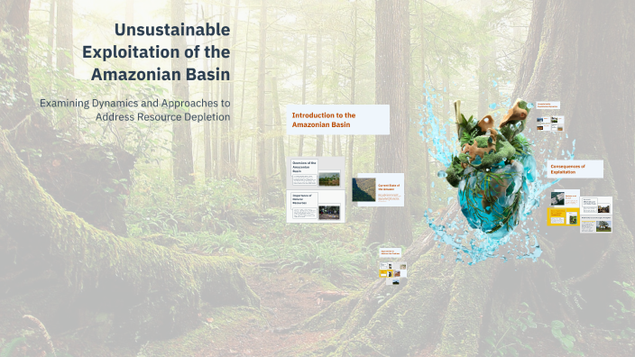 Unsustainable Exploitation of the Amazonian Basin by Anni Thelen on Prezi