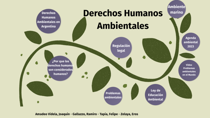 Los Derechos Humanos Ambientales Pertenecen A prezi.com