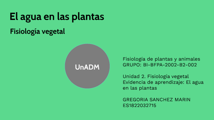 El Agua En Las Plantas By Gregoria Sanchez Marin On Prezi