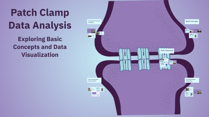 Patch Clamp Data Analysis by Ch Guna Sai on Prezi