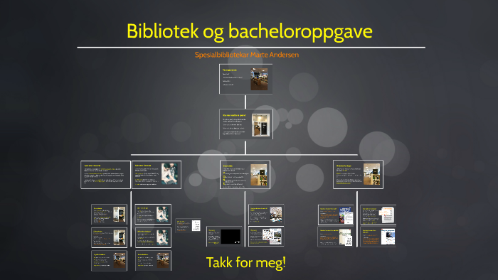 Bacheloroppgave barnehagelærer 2017