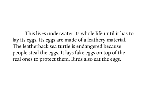 Leatherback Sea Turtle by Jeremy S on Prezi