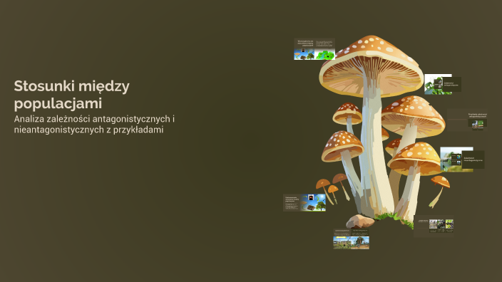 Stosunki między populacjami by Pawe E on Prezi