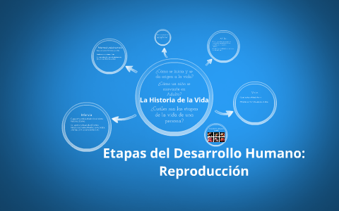 Etapas del Desarrollo Humano: Reproducción by Davicho Poot