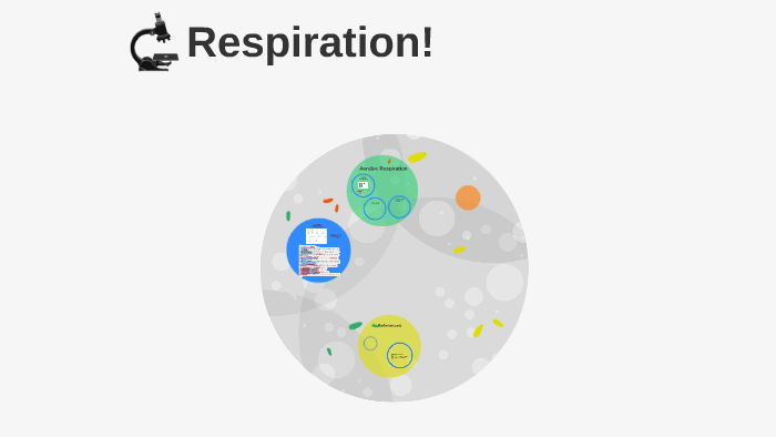 Respiration by Cara Laing on Prezi