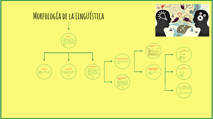 Morfología De La Lingüística By Lilibeth Delgado On Prezi Next