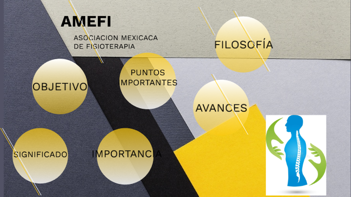 Terapia Fisica Segun La Amefi