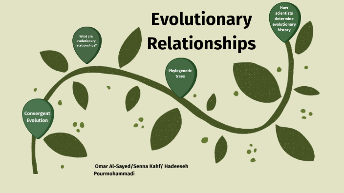 research on evolutionary relationships