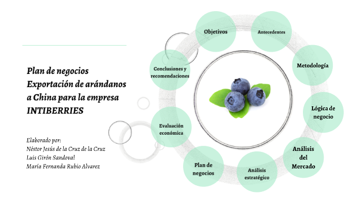 Plan de negocios by María Fernanda Rubio Alvarez on Prezi