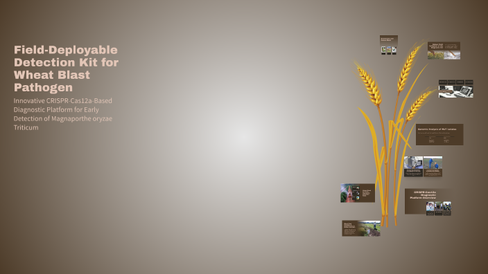 Picture of Field-Deployable Detection Kit for Wheat Blast Pathogen by FARIN ...