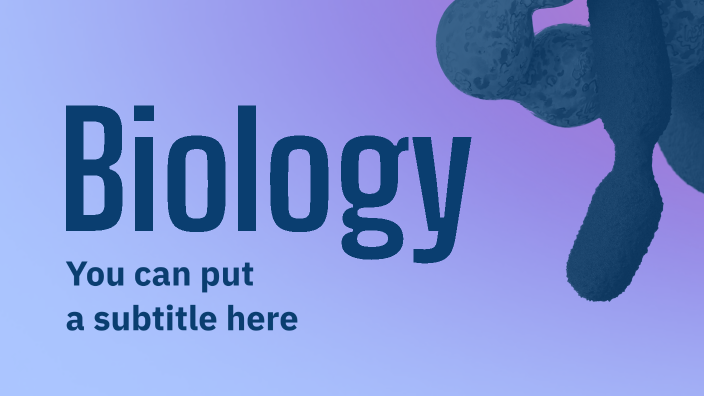 Anatomy Lab Study Guide by Alexandra Ramirez on Prezi