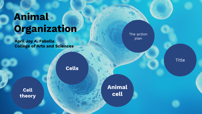 Animal Organization By April Joy Fabella On Prezi