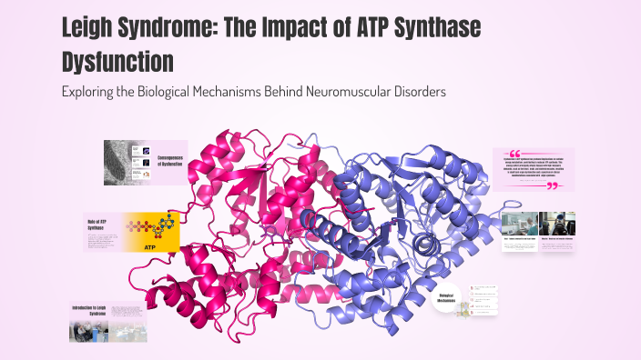 Leigh Syndrome: The Impact of ATP Synthase Dysfunction by Rose Brade on ...