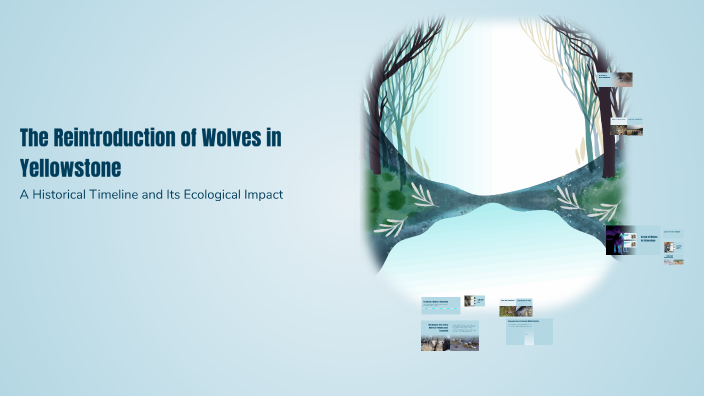 The Reintroduction of Wolves in Yellowstone by Roosevelt Lowry on Prezi