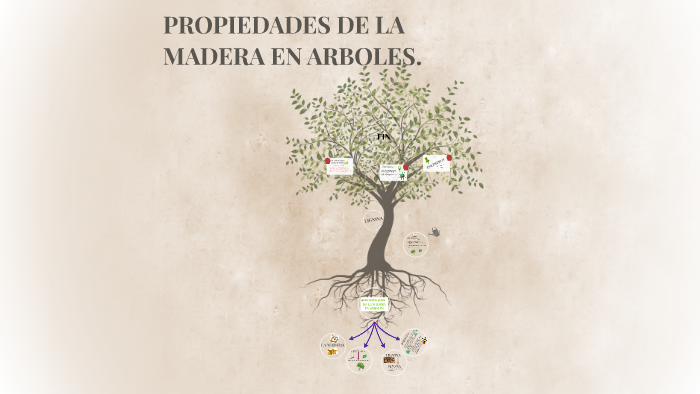 PROPIEDADES DE LA MATERIA EN ARBOLES. by Flo Pino