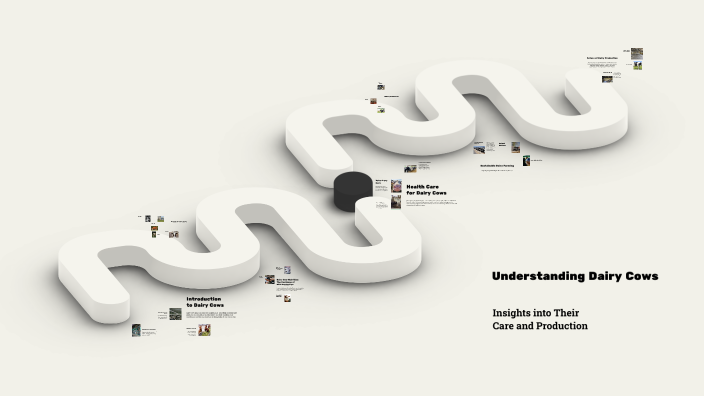 Understanding Dairy Cows by Test User on Prezi