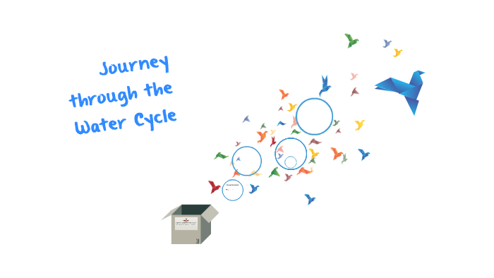 Journey through the Water Cycle by Makaily Nies on Prezi