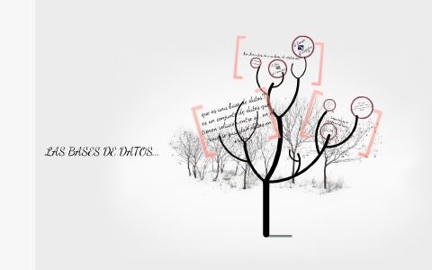 BASE DE DATOS by fernanda palestino godar on Prezi