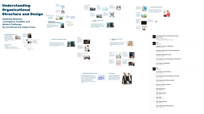 Understanding Organizational Structure and Design by Luis Bernal on Prezi