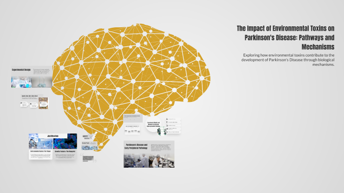The Impact of Environmental Toxins on Parkinson's Disease: Pathways and ...