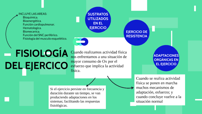FISIOLOGIA DEL EJERCICIO- FINAL FISIO 1 by MARIA SARA REPETTO QUIROGA ...