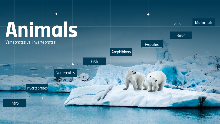 Animal Classification by Bethany Ammons on Prezi