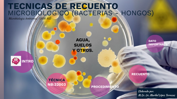 TÉCNICAS DE RECUENTO MICROBIOLOGICO by Maribel López Terrazas on Prezi