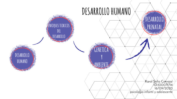 DESARROLLO HUMANO by sofia carvajal on Prezi