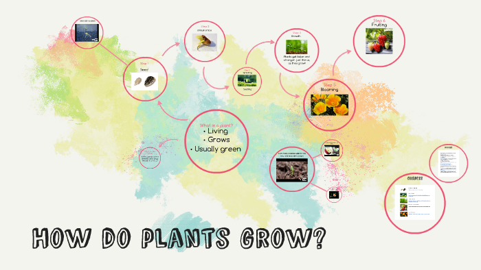 How do plants grow? by Jessica Blackburn on Prezi