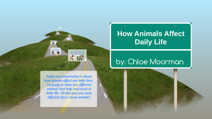 how-animals-affect-daily-life-by-chloe-m