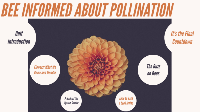 Pollination and Reproduction by Jordan Neighbour on Prezi