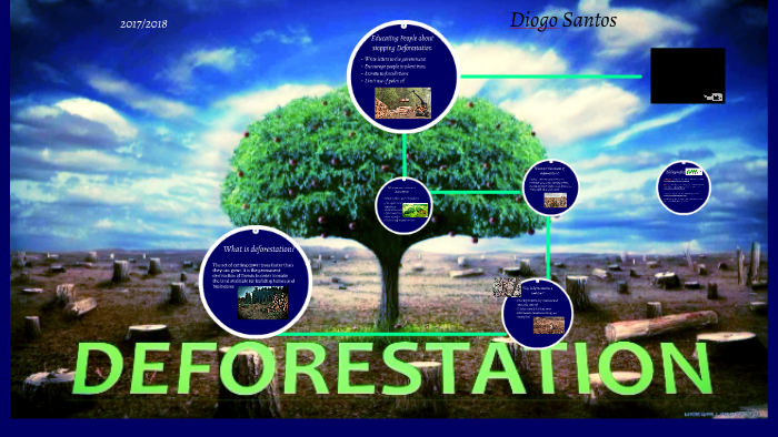 Deforestation Apresentacao Oral Ingles By Diogo Santos