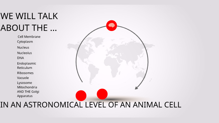 Animal Cell Project by Warren Fernandes on Prezi