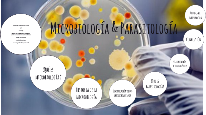 Microbiologia Y Parasitologia