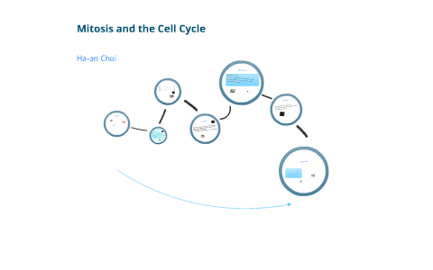 Mitosis and Cell Cycle by Ha-an Choi on Prezi